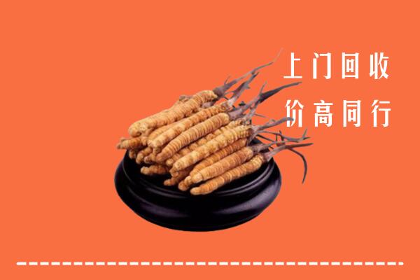 高价求购：黄山市黟市回收散虫草