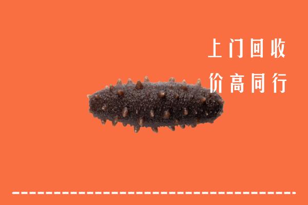 高价求购：黄山市黟市回收海参